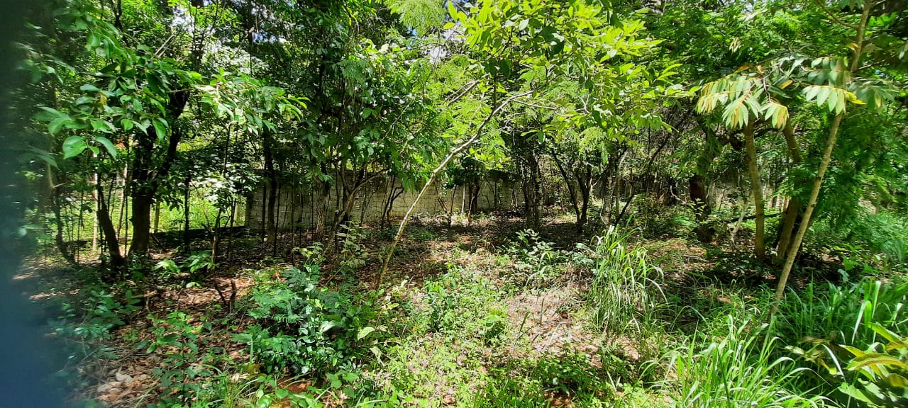 T-14 TERRENO CONFINS 11.130,17M2