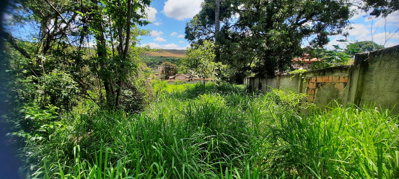 T-14 TERRENO CONFINS 11.130,17M2