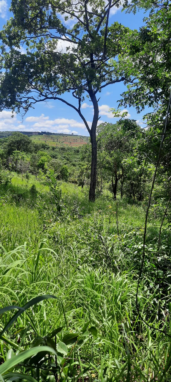 T-15 TERRENO CONFINS 2.498,50M2