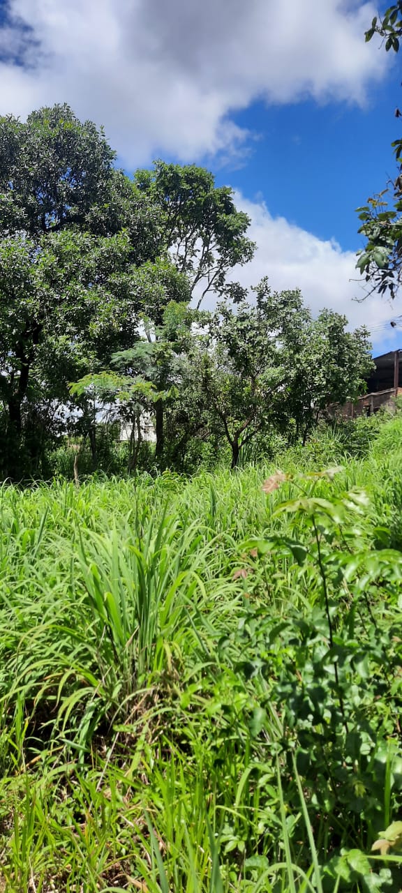 T-15 TERRENO CONFINS 2.498,50M2