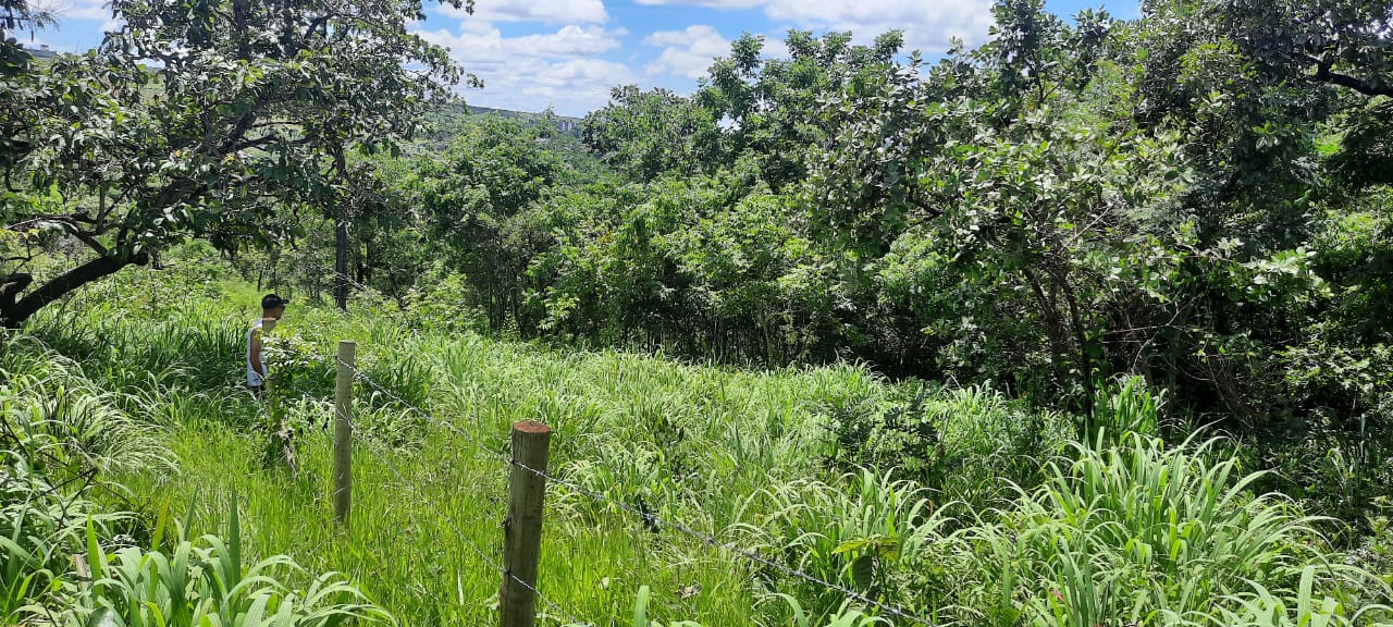 T-15 TERRENO CONFINS 2.498,50M2