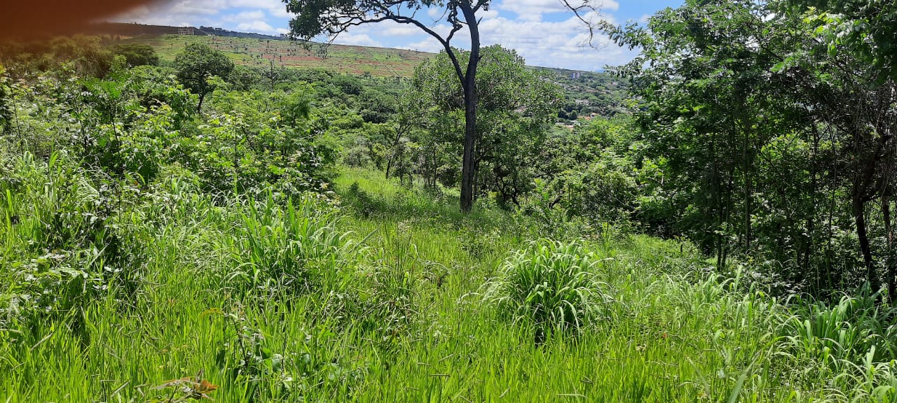 T-15 TERRENO CONFINS 2.498,50M2