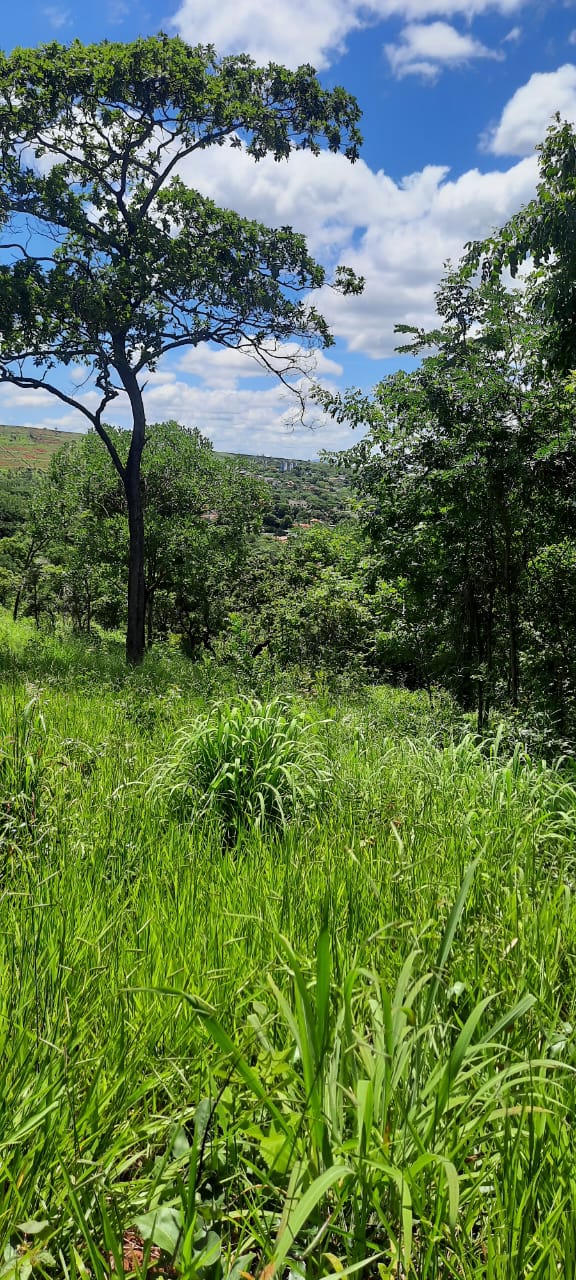 T-15 TERRENO CONFINS 2.498,50M2