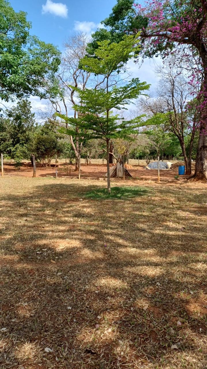 F-100 FAZENDA 65HA CURVELO MG