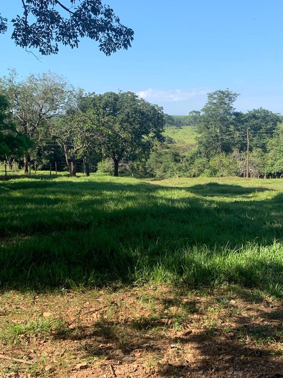 F-100 FAZENDA 65HA CURVELO MG