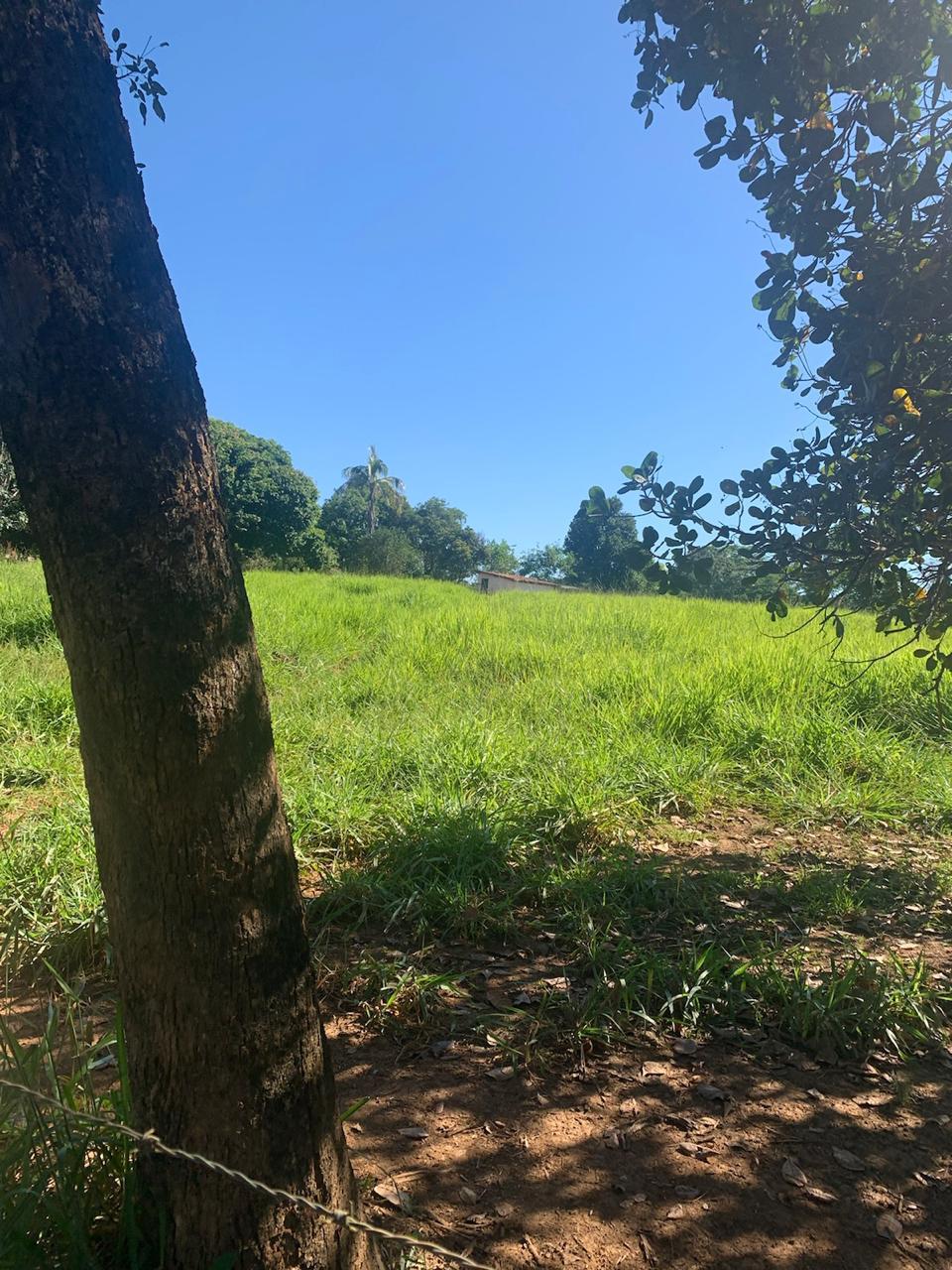 F-100 FAZENDA 65HA CURVELO MG