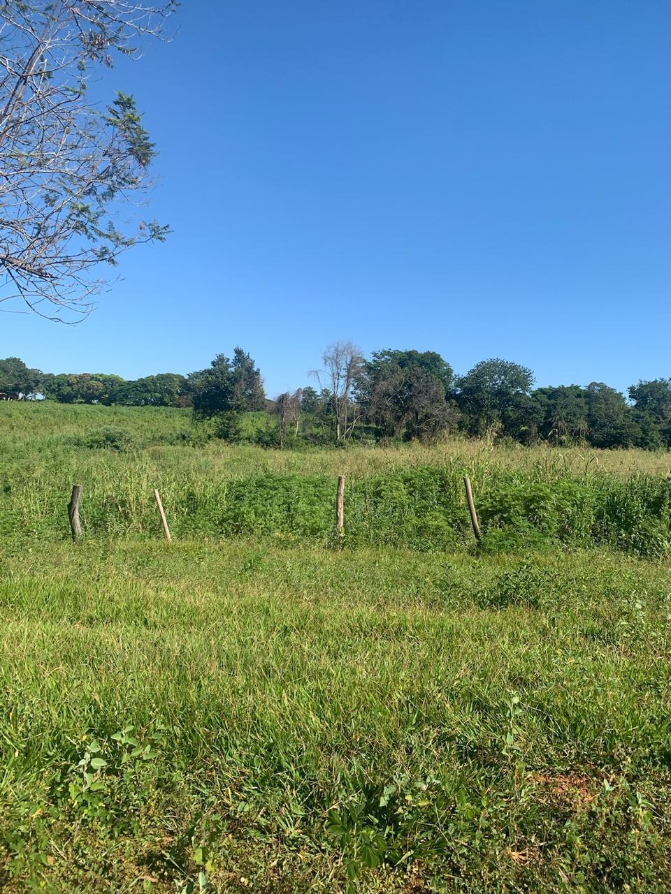 F-100 FAZENDA 65HA CURVELO MG