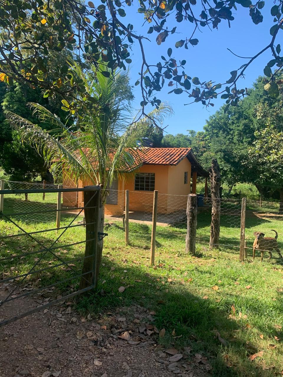 F-100 FAZENDA 65HA CURVELO MG