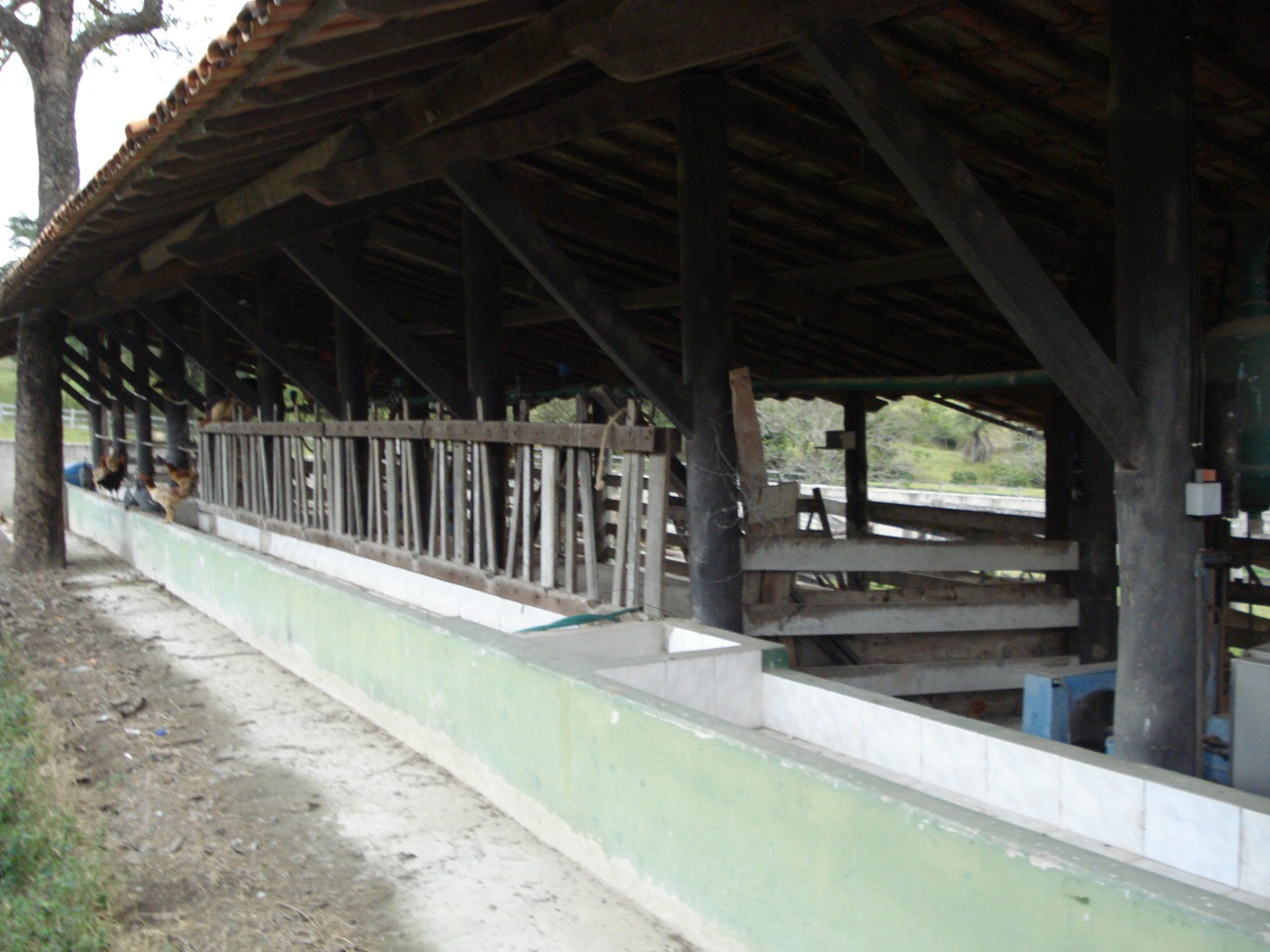 F-108 FAZENDA 53 HA PEDRO LEOPOLDO MG