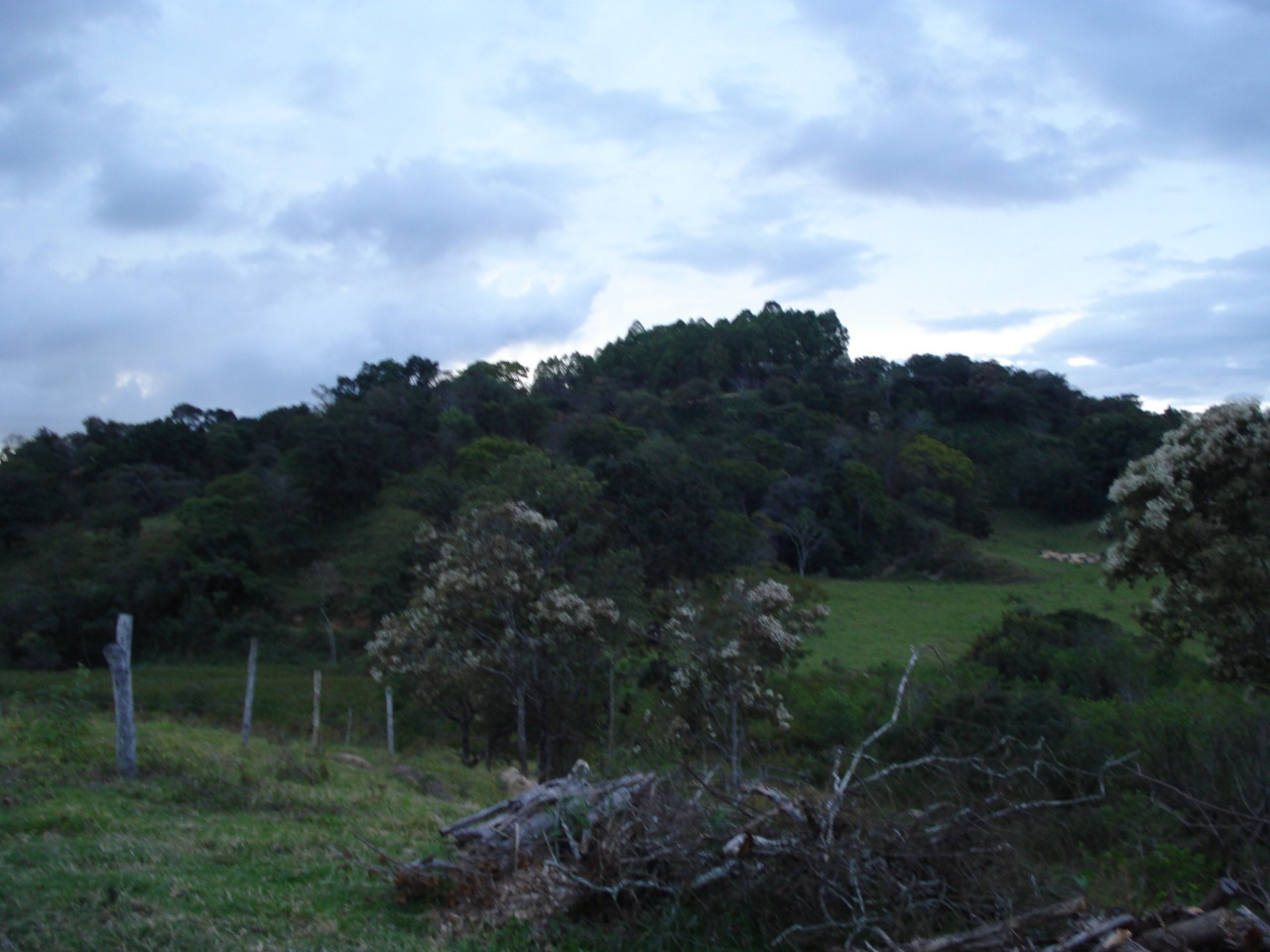 F-108 FAZENDA 53 HA PEDRO LEOPOLDO MG