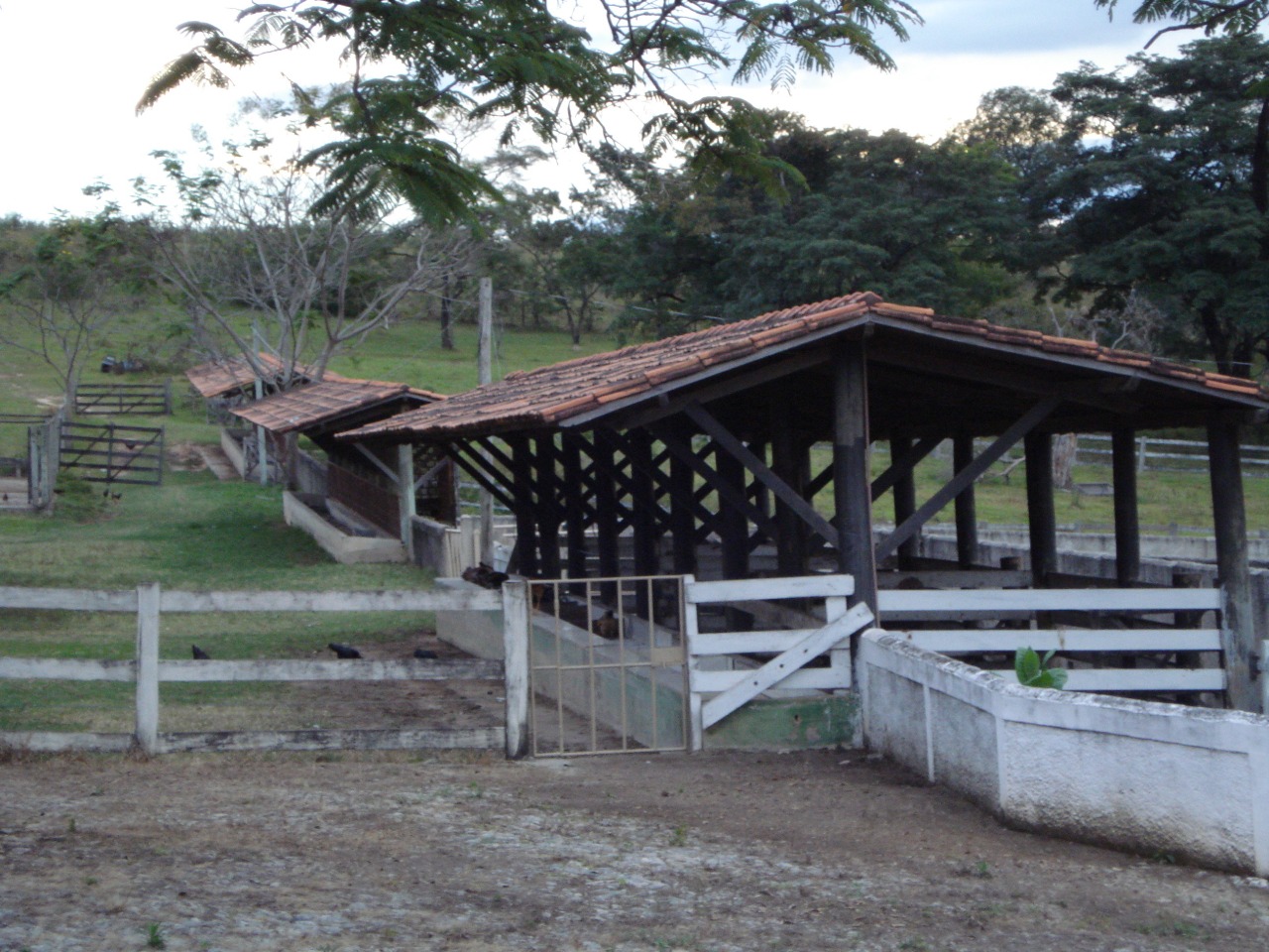F-108 FAZENDA 53 HA PEDRO LEOPOLDO MG