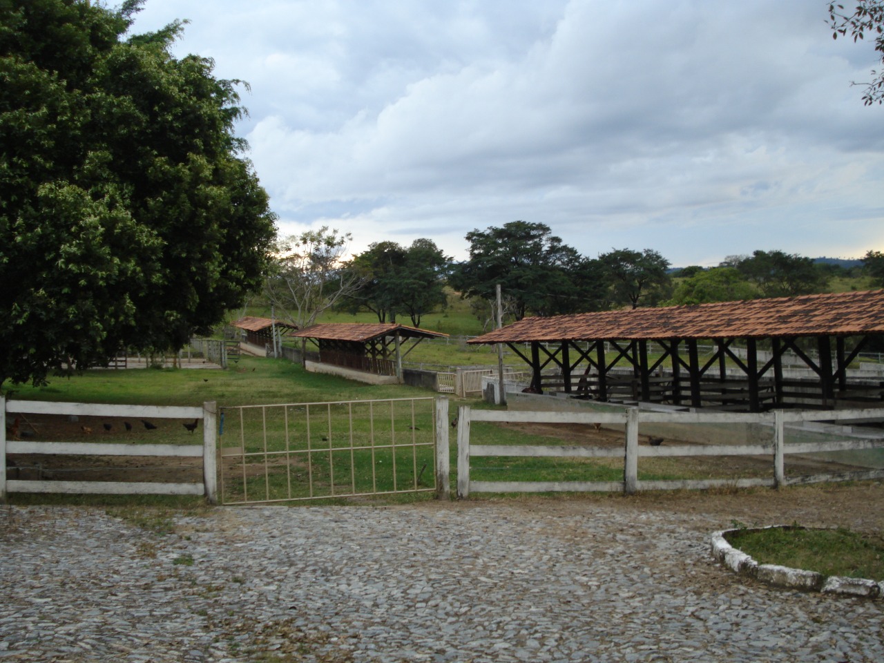 F-108 FAZENDA 53 HA PEDRO LEOPOLDO MG