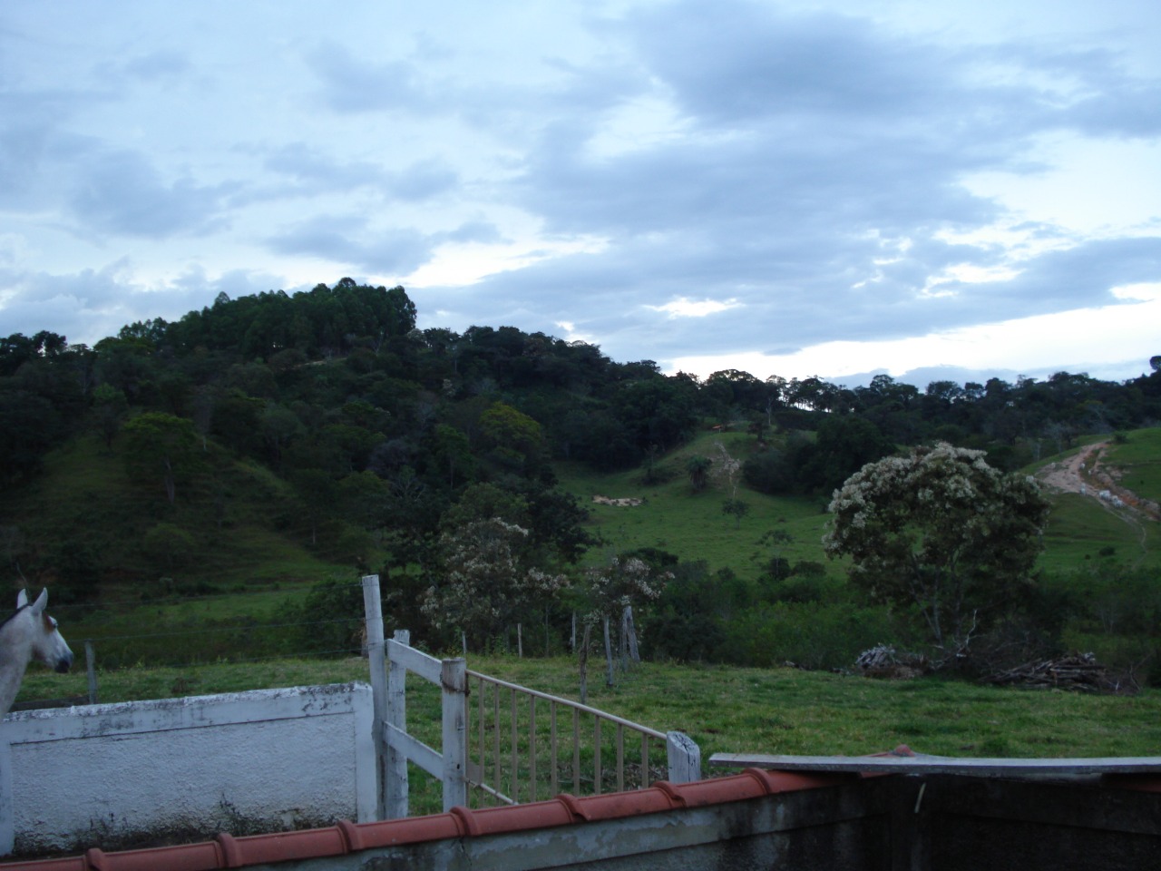 F-108 FAZENDA 53 HA PEDRO LEOPOLDO MG