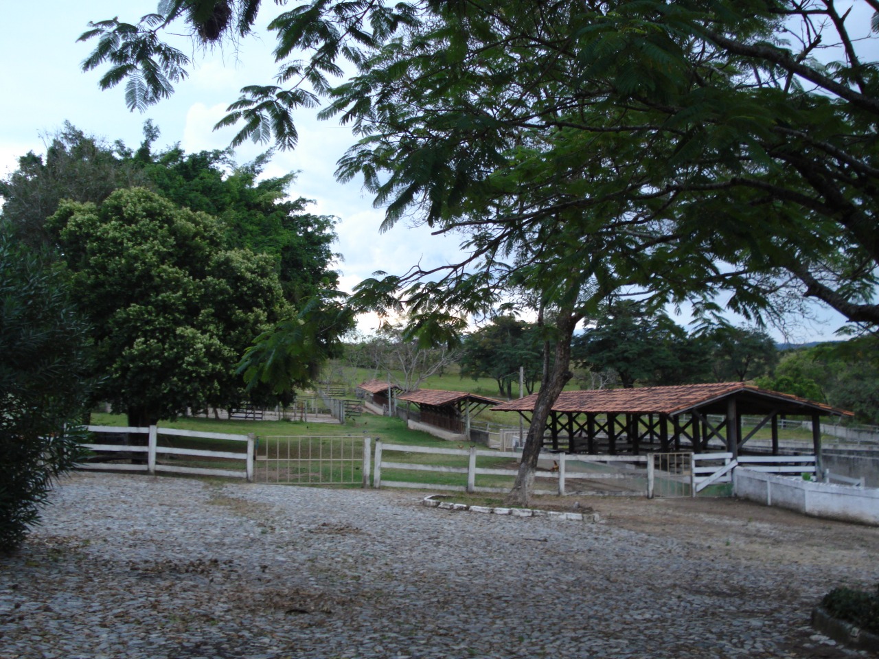 F-108 FAZENDA 53 HA PEDRO LEOPOLDO MG