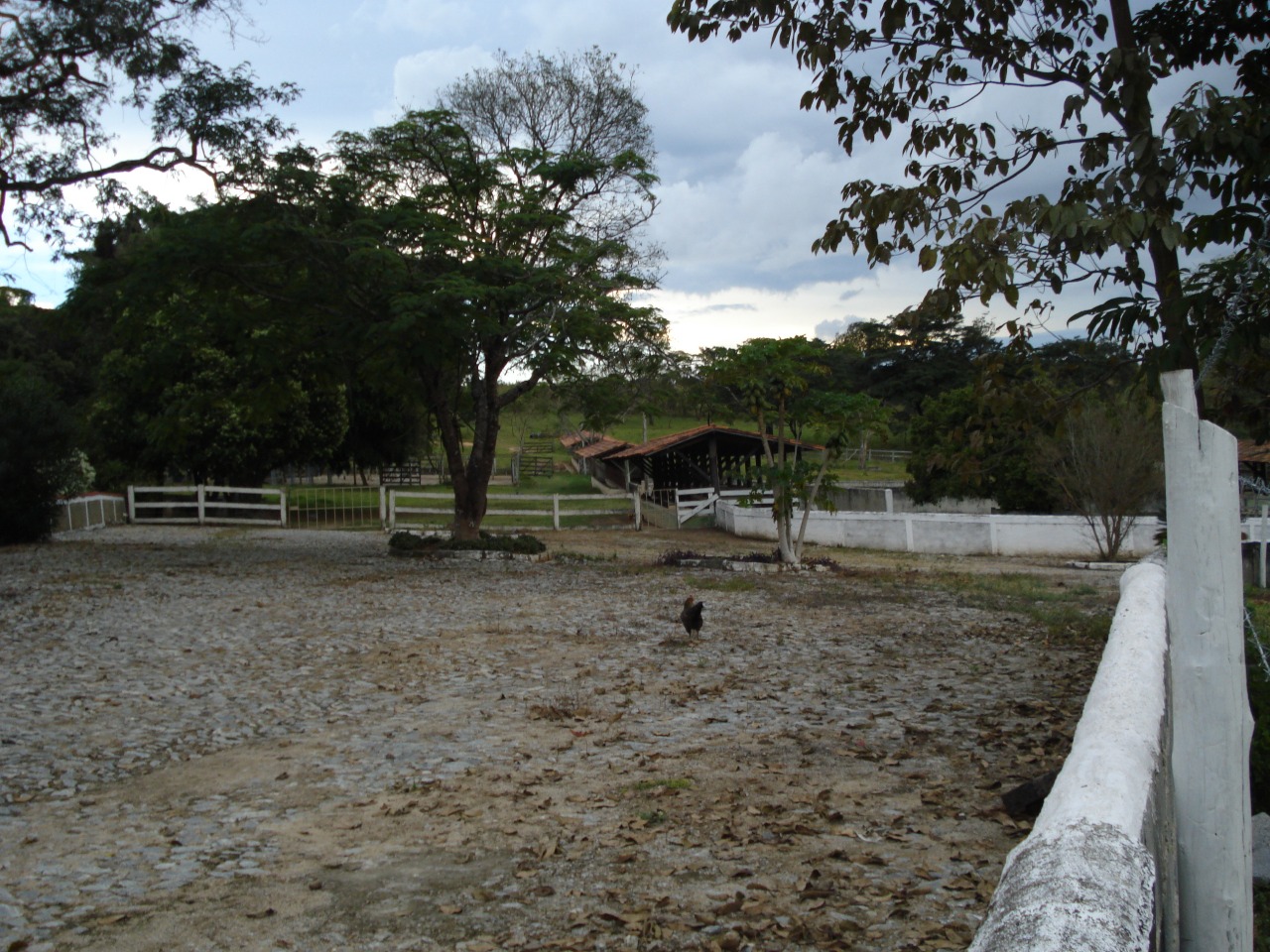 F-108 FAZENDA 53 HA PEDRO LEOPOLDO MG