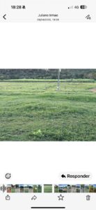 F-123 FAZENDA 137HA SETE LAGOAS MG