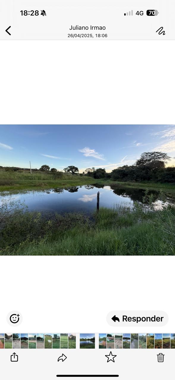 F-123 FAZENDA 137HA SETE LAGOAS MG