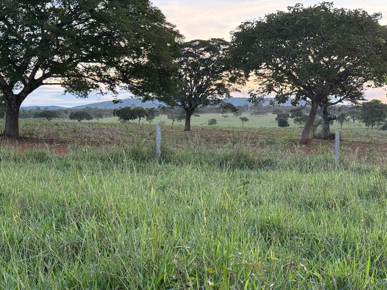 F-123 FAZENDA 137HA SETE LAGOAS MG