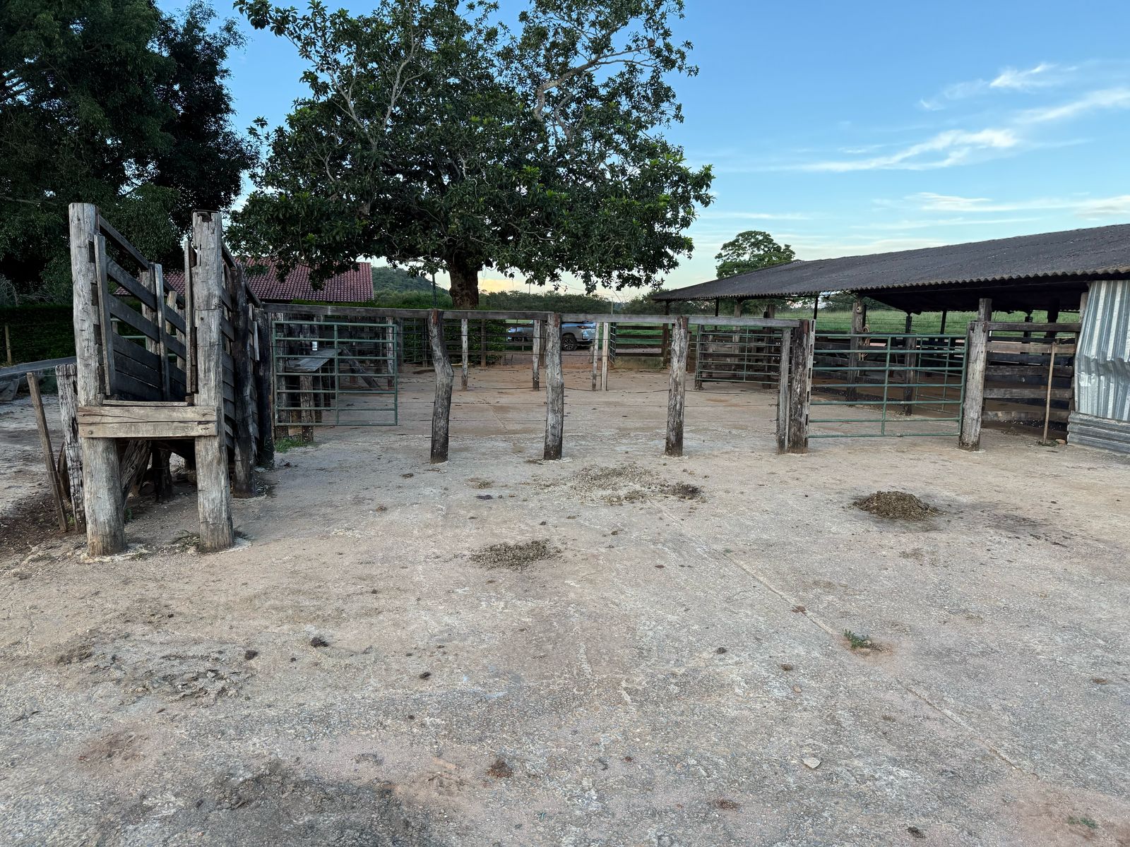 F-123 FAZENDA 137HA SETE LAGOAS MG