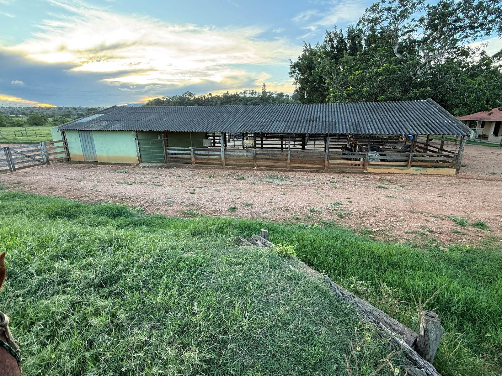 F-123 FAZENDA 137HA SETE LAGOAS MG