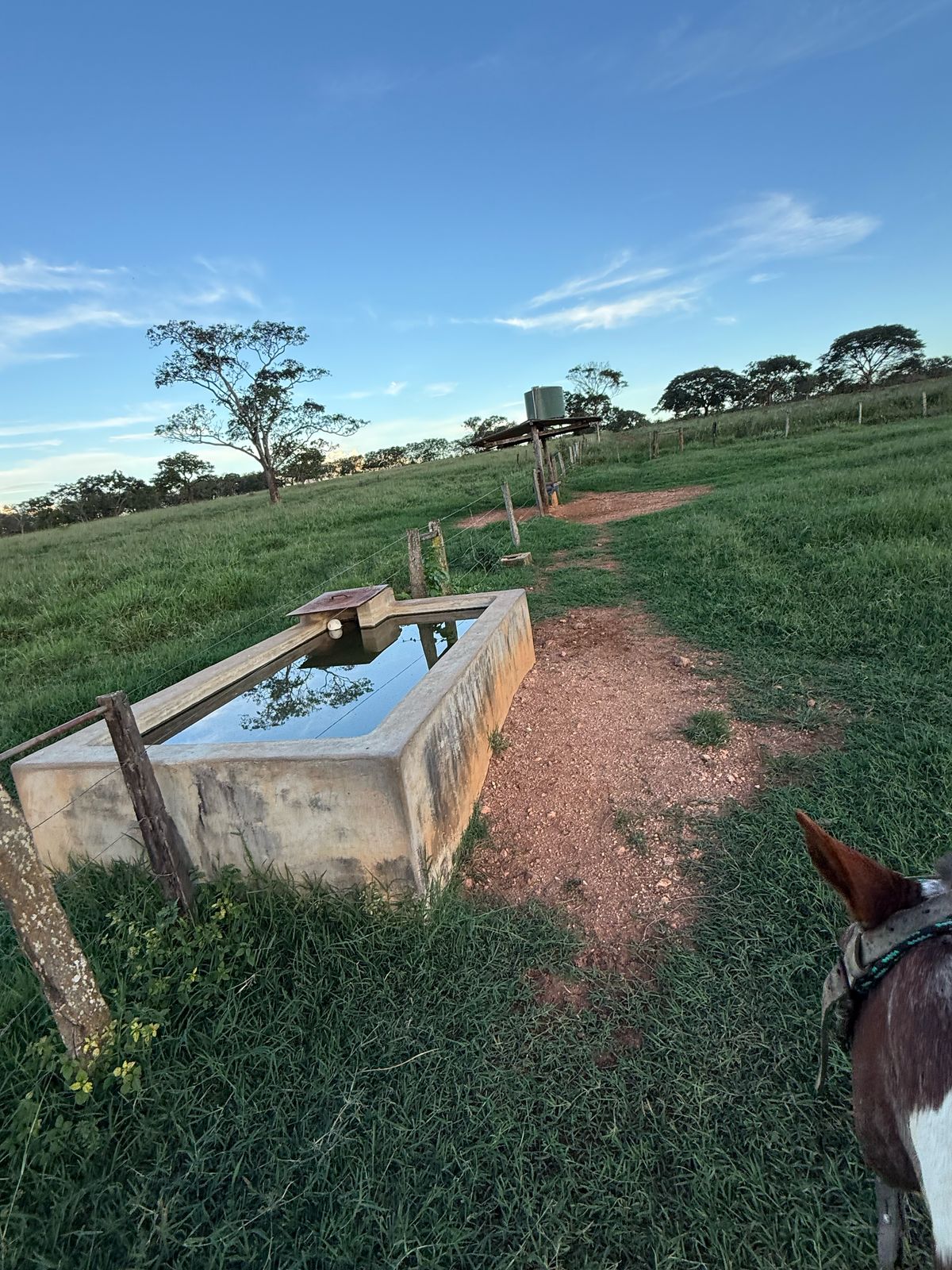 F-123 FAZENDA 137HA SETE LAGOAS MG