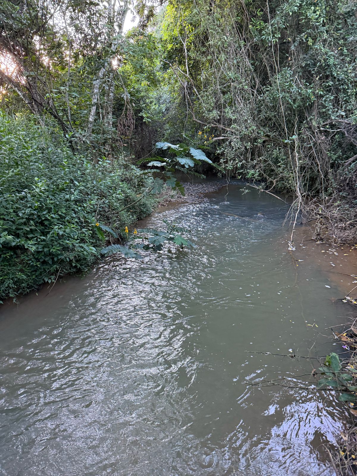 F-123 FAZENDA 137HA SETE LAGOAS MG