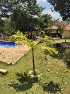 S-28 SITIO 55.000M2 CAETANOPOLIS