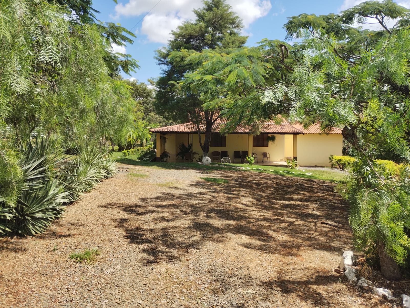 S-28 SITIO 55.000M2 CAETANOPOLIS