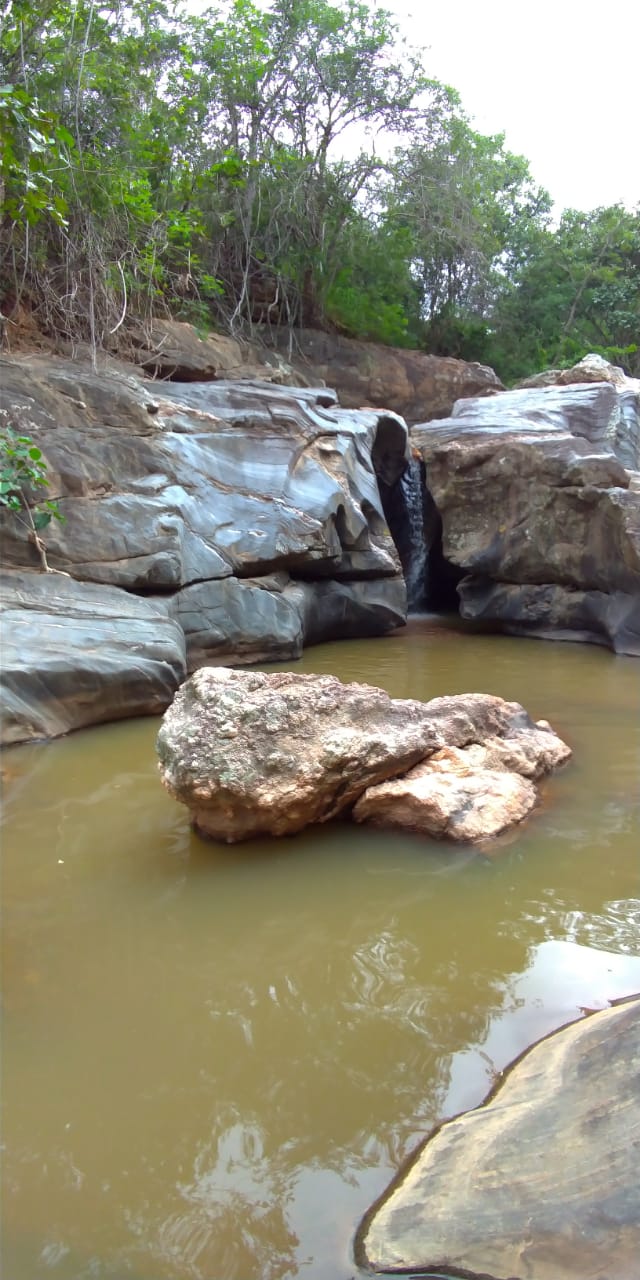 F- 059 FAZENDA 210HA VALE DO JEQUINTINHO