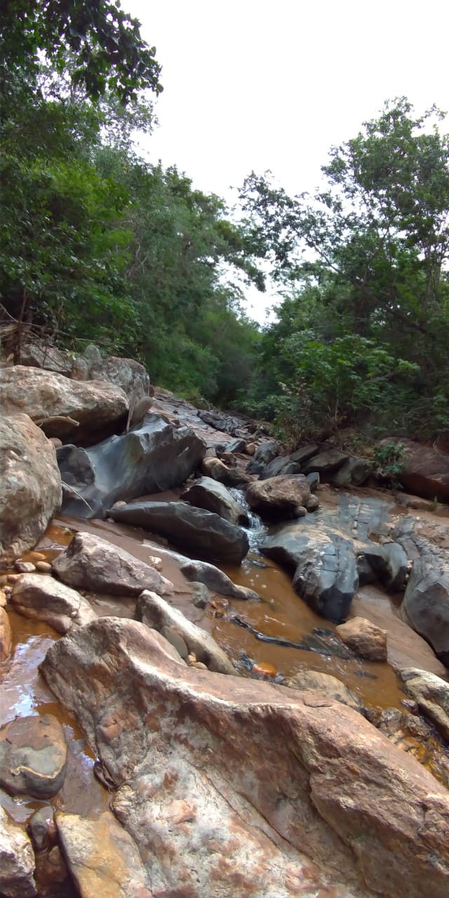 F- 059 FAZENDA 210HA VALE DO JEQUINTINHO