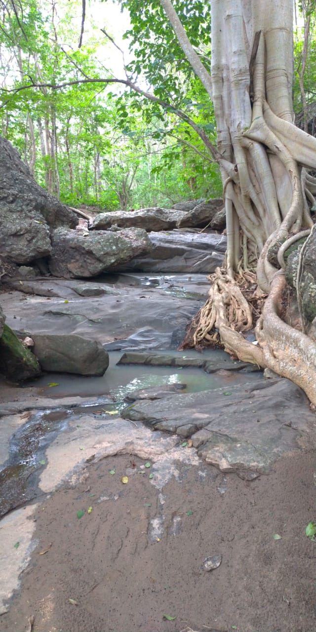 F- 059 FAZENDA 210HA VALE DO JEQUINTINHO