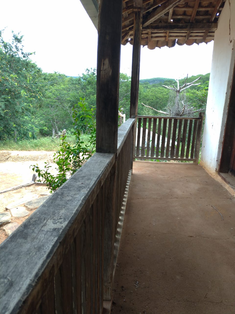 F- 059 FAZENDA 210HA VALE DO JEQUINTINHO