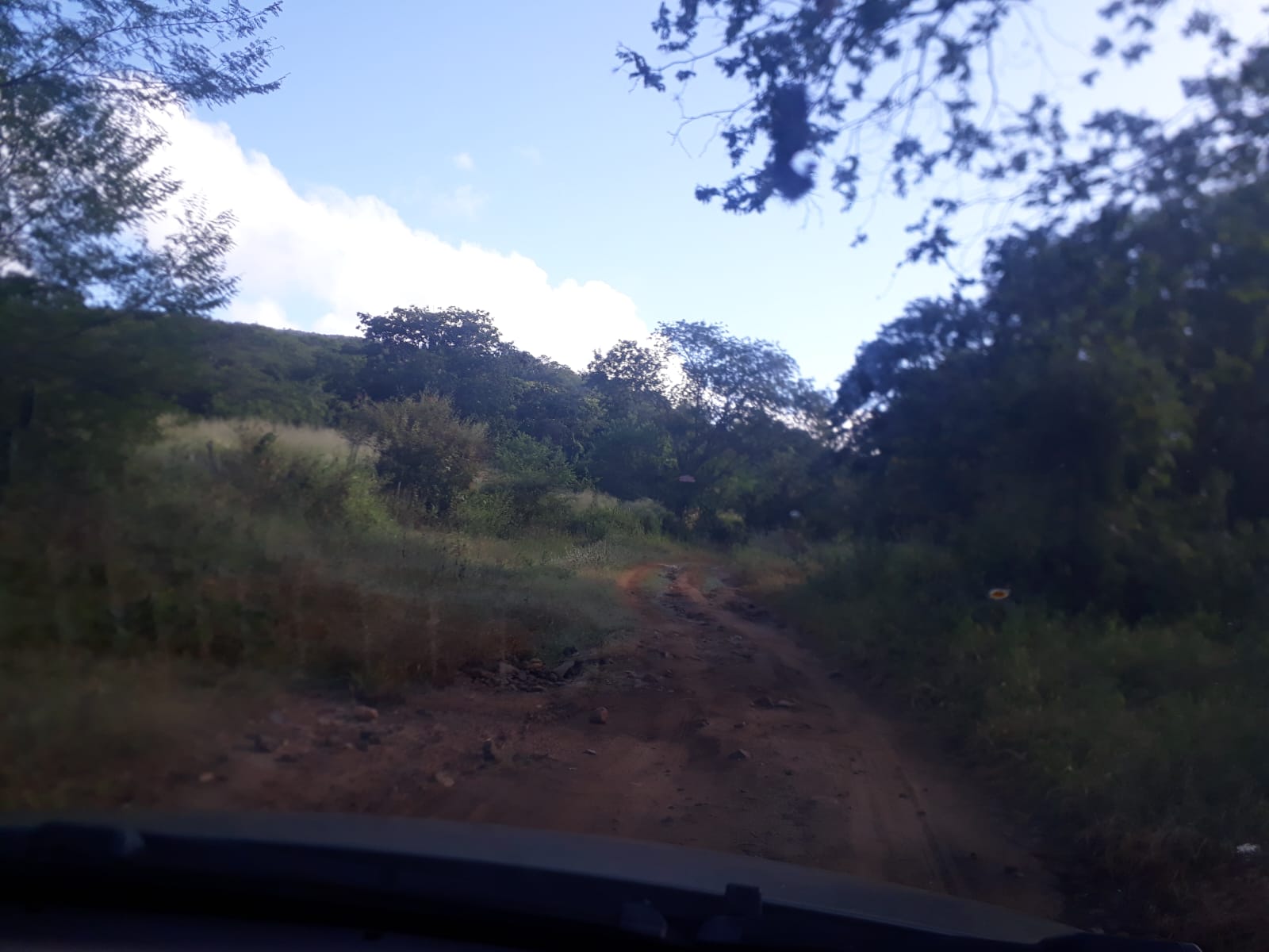 F- 059 FAZENDA 210HA VALE DO JEQUINTINHO