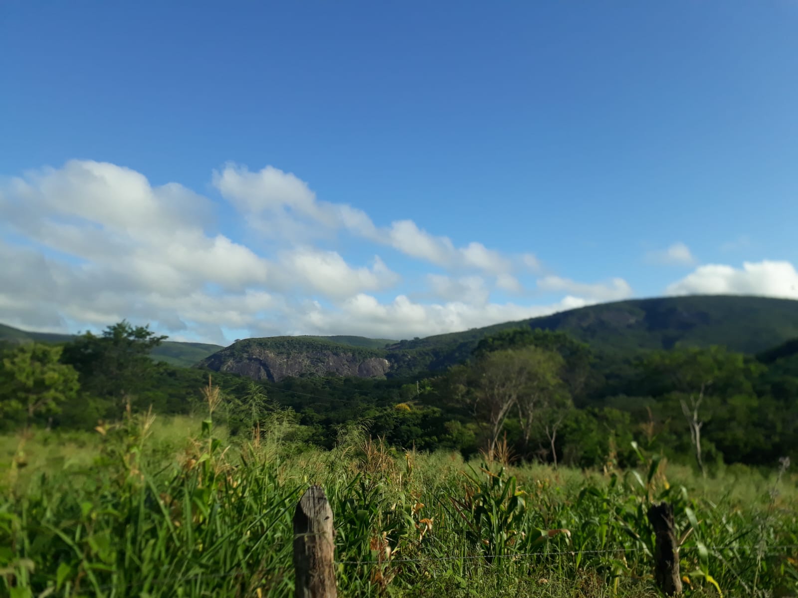 F- 059 FAZENDA 210HA VALE DO JEQUINTINHO