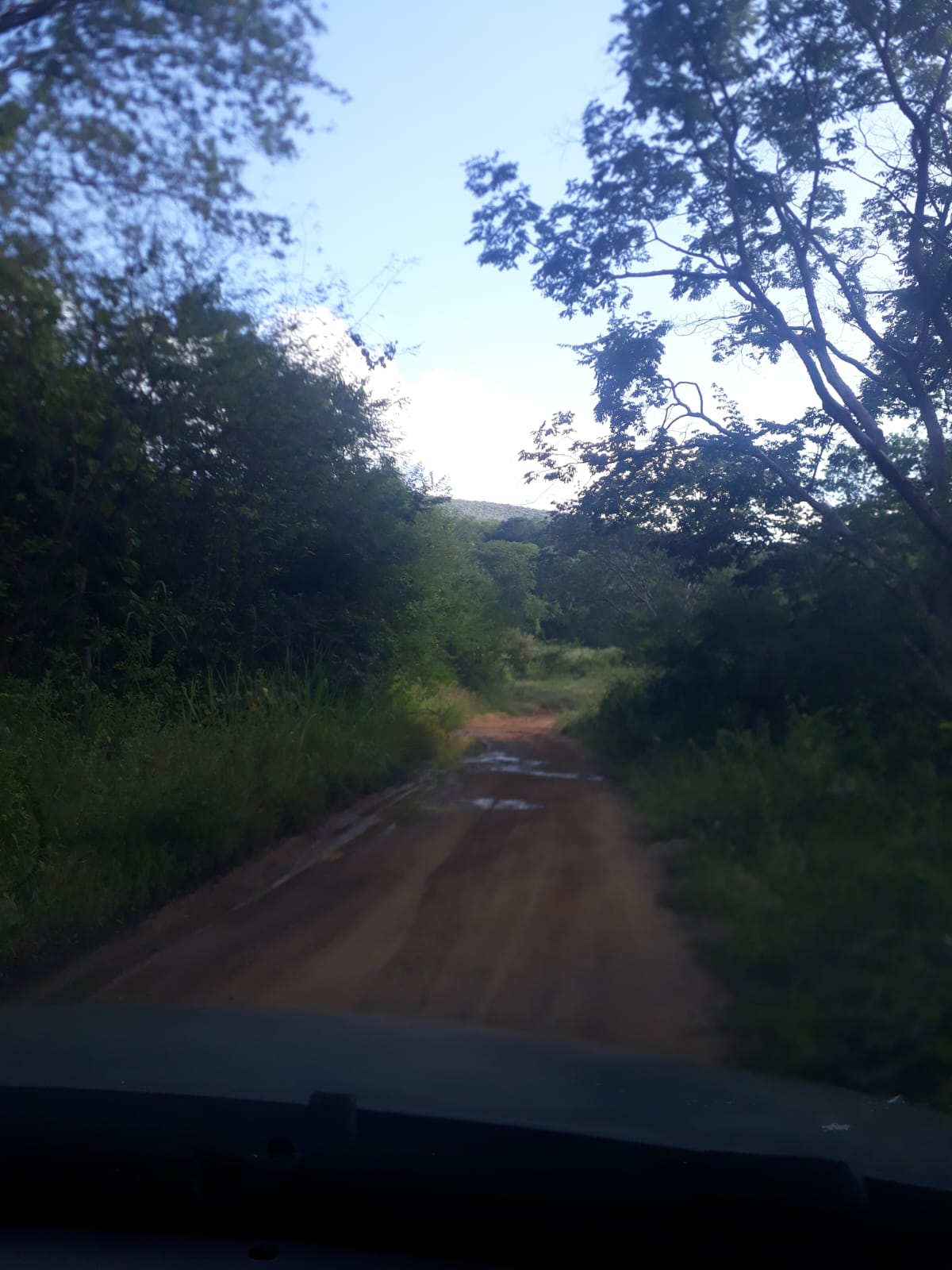 F- 059 FAZENDA 210HA VALE DO JEQUINTINHO