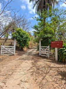 SITIO S-29 6HECTARES  PEDRO LEOPOLDO MG