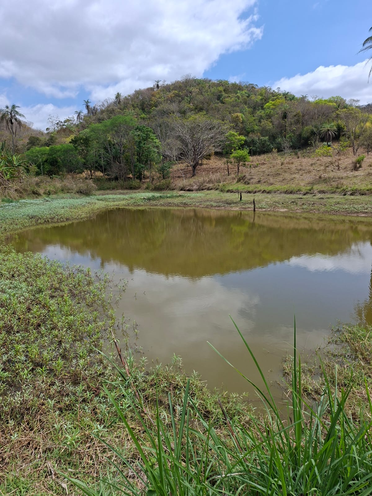SITIO S-29 6HECTARES  PEDRO LEOPOLDO MG