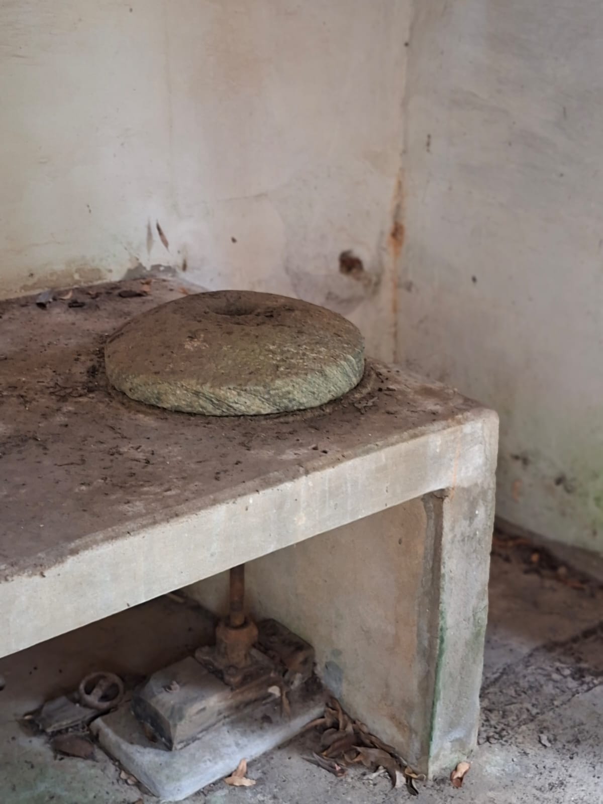 SITIO S-29 6HECTARES  PEDRO LEOPOLDO MG