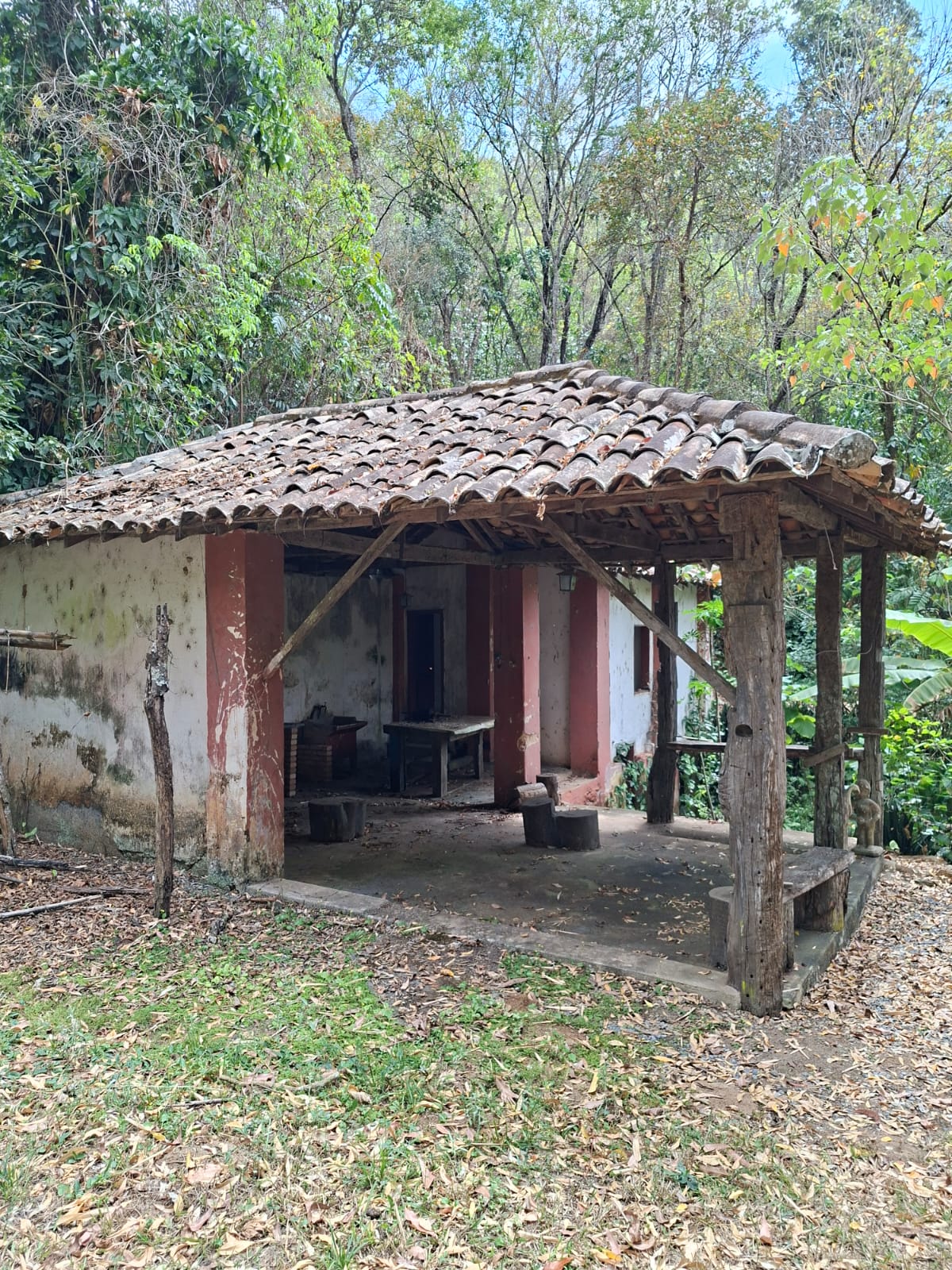 SITIO S-29 6HECTARES  PEDRO LEOPOLDO MG