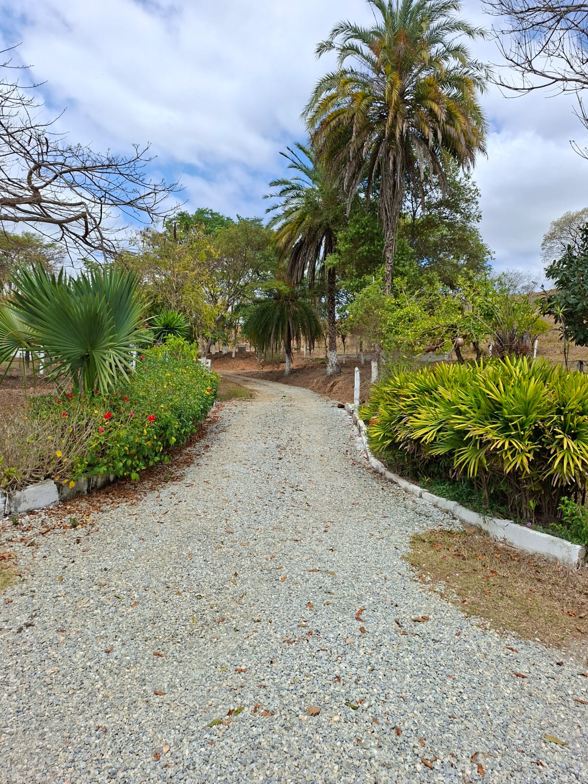 SITIO S-29 6HECTARES  PEDRO LEOPOLDO MG