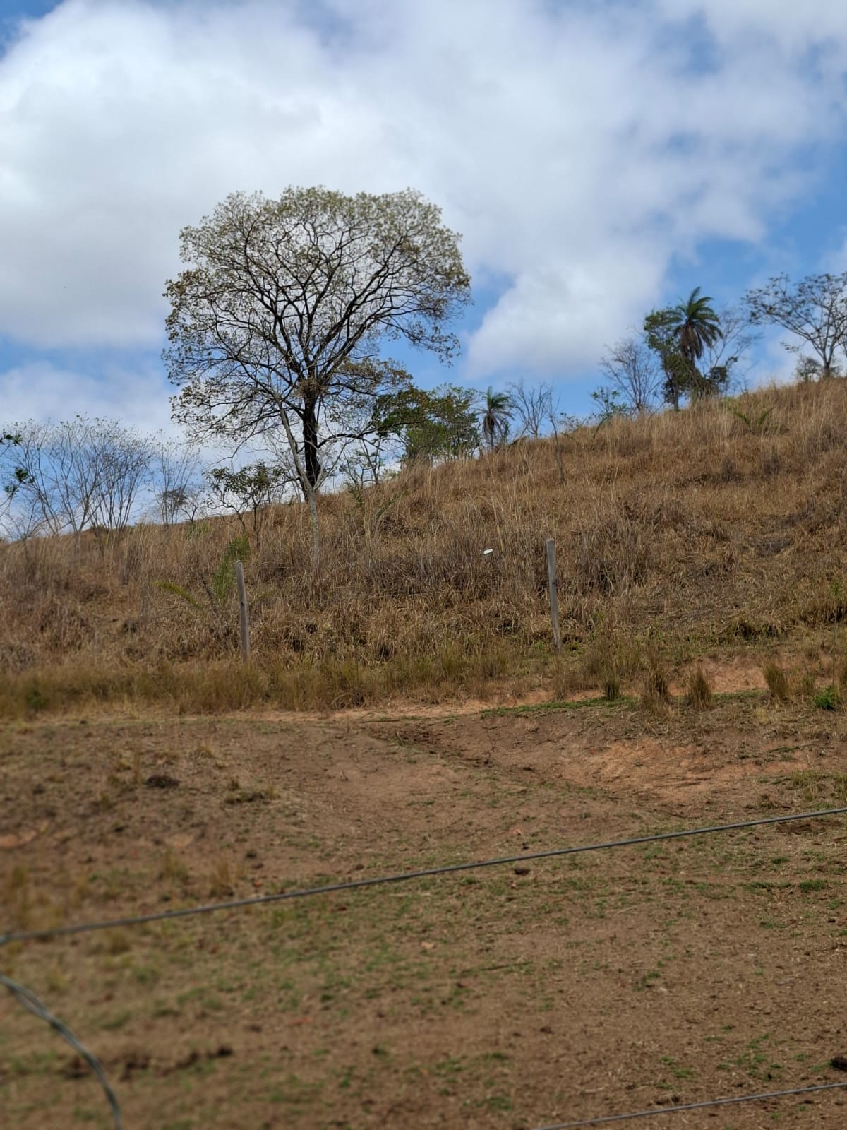SITIO S-29 6HECTARES  PEDRO LEOPOLDO MG