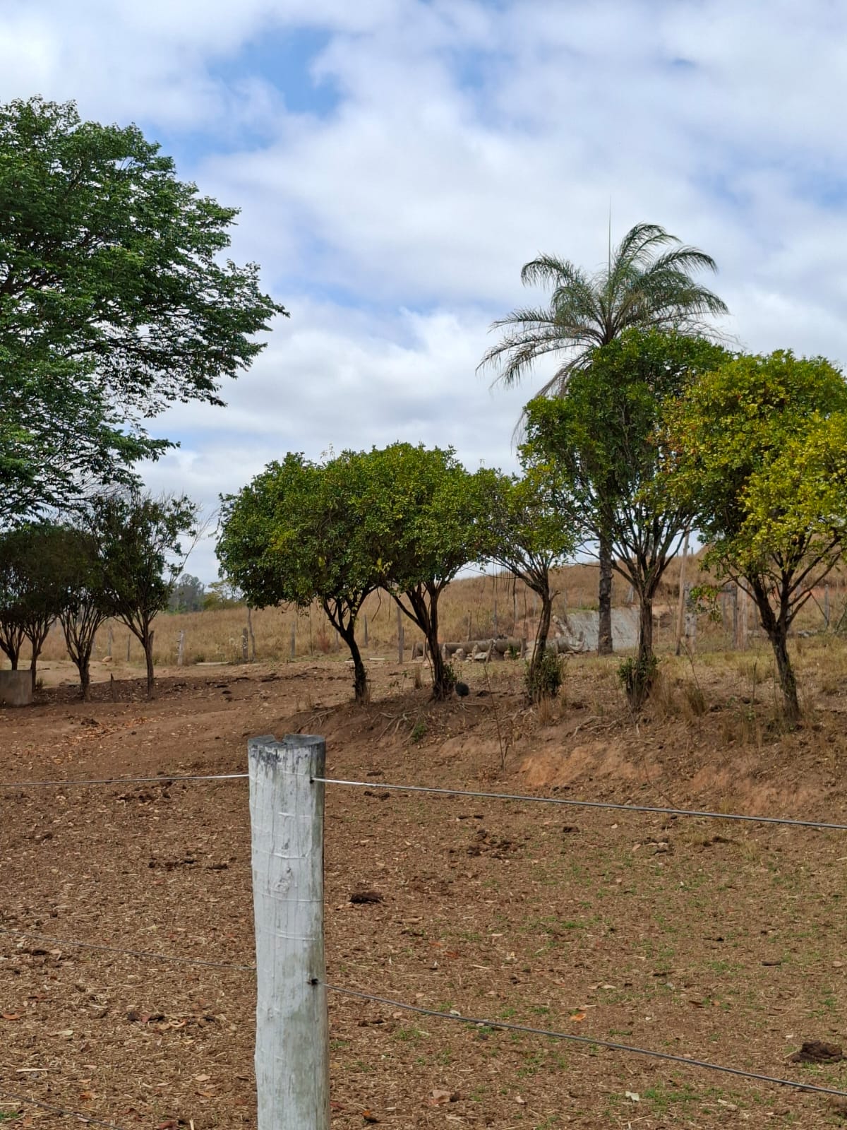 SITIO S-29 6HECTARES  PEDRO LEOPOLDO MG