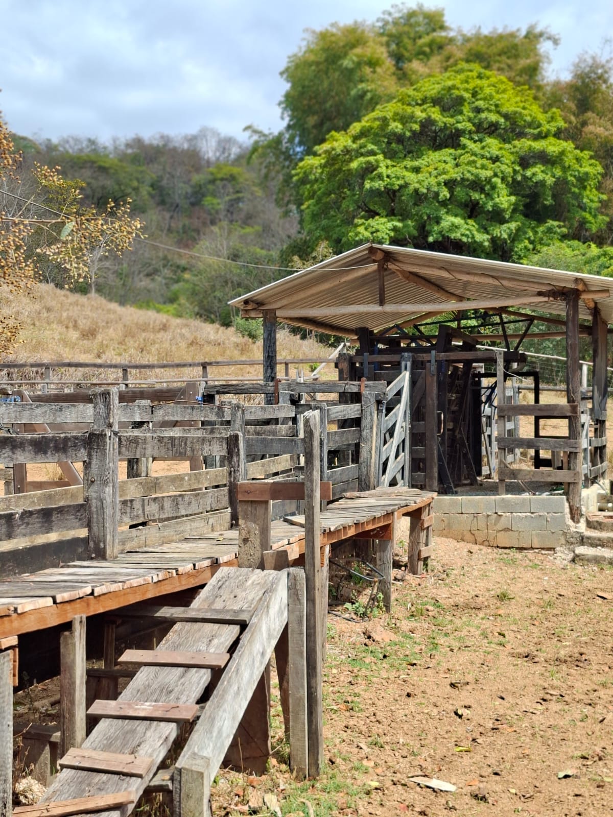 SITIO S-29 6HECTARES  PEDRO LEOPOLDO MG