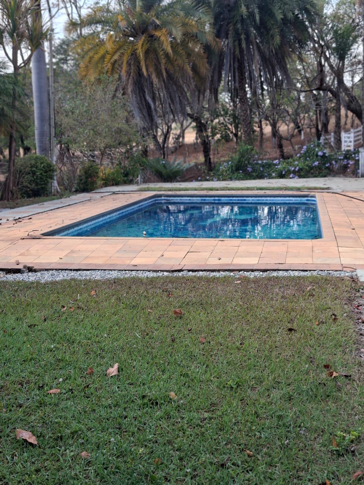 SITIO S-29 6HECTARES  PEDRO LEOPOLDO MG