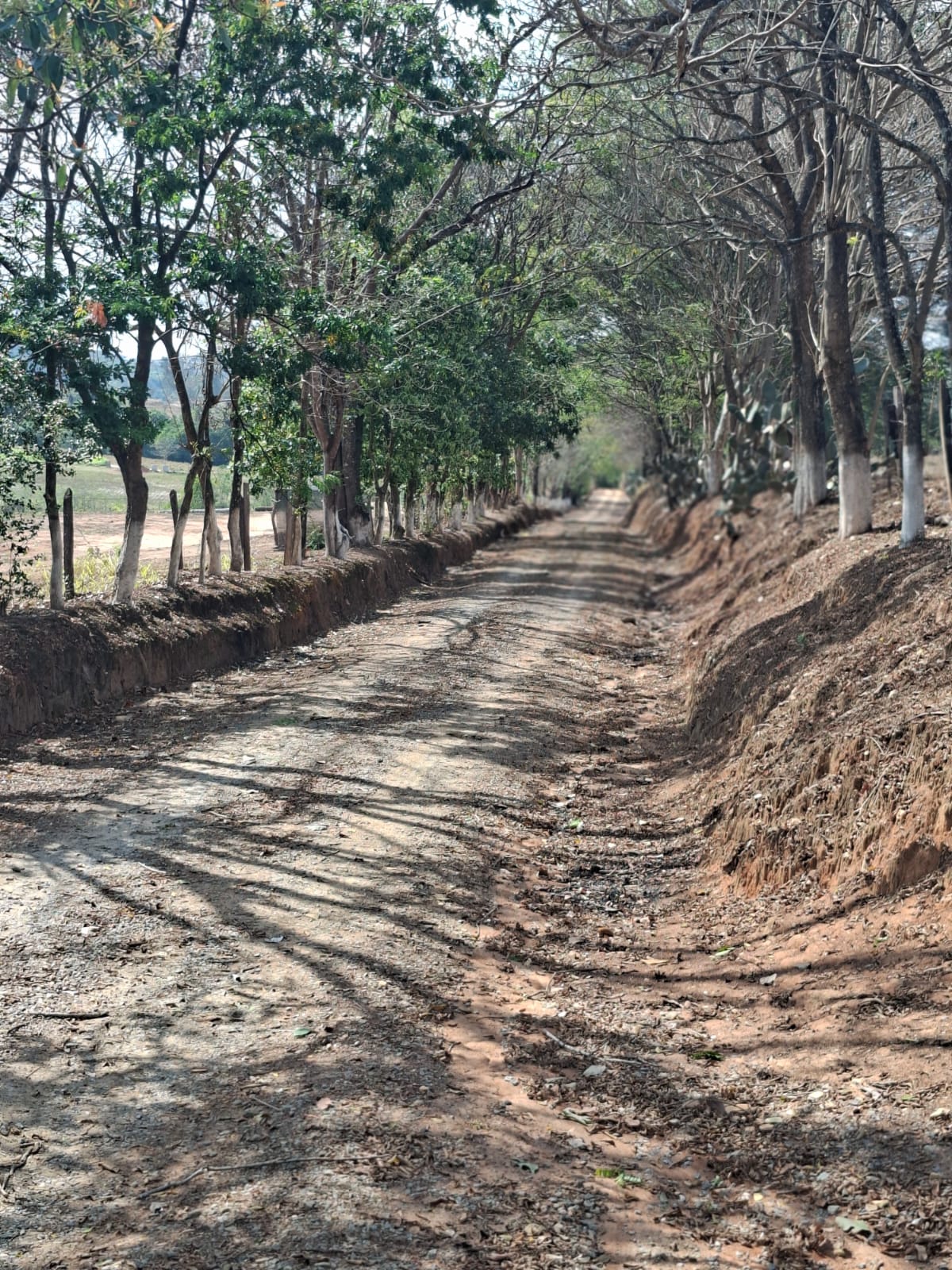 SITIO S-29 6HECTARES  PEDRO LEOPOLDO MG