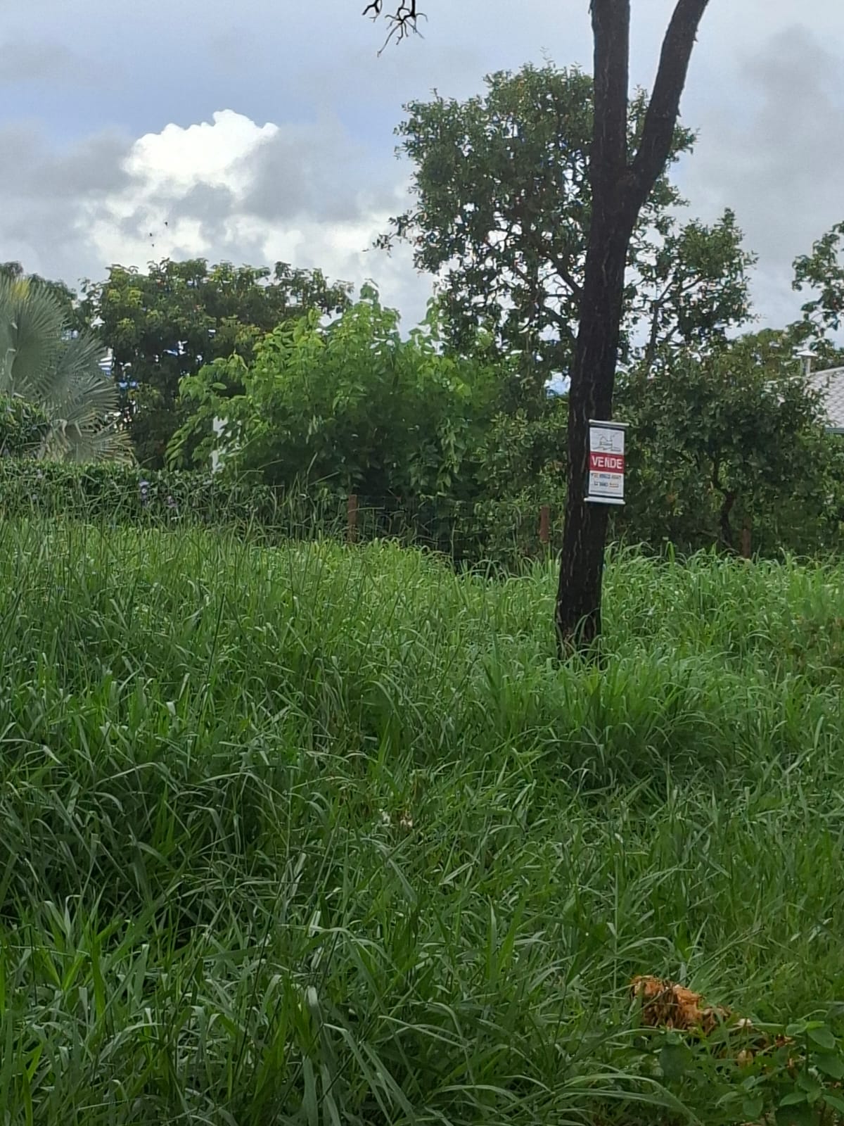 L-07 LOTE 1000M2 CONDOMINIO VALE VERDE  FUNILANDIA MG