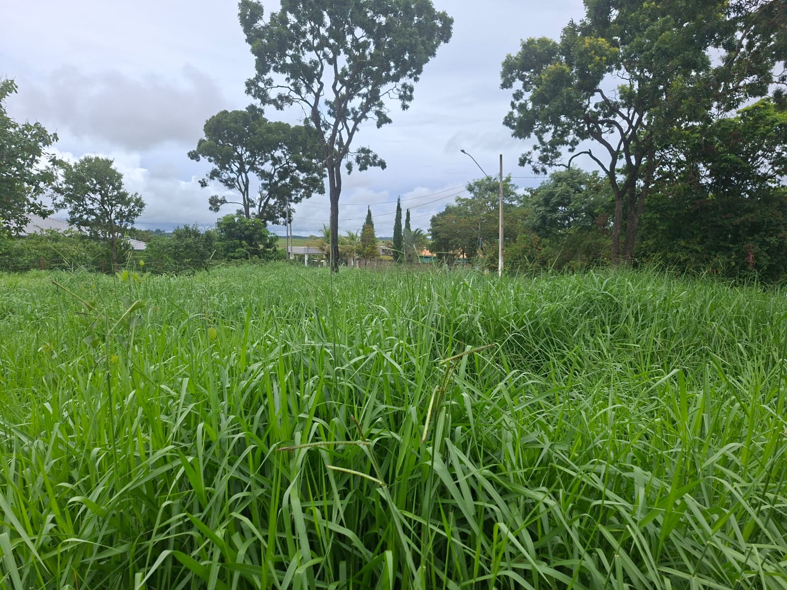 L-07 LOTE 1000M2 CONDOMINIO VALE VERDE  FUNILANDIA MG