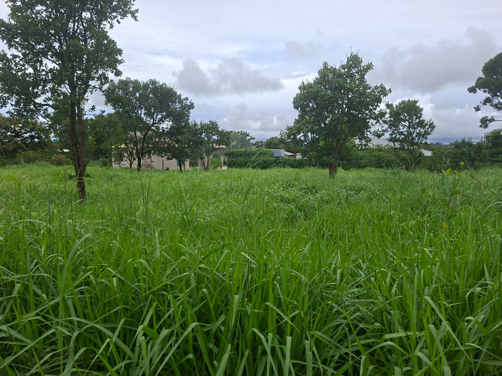 L-07 LOTE 1000M2 CONDOMINIO VALE VERDE  FUNILANDIA MG