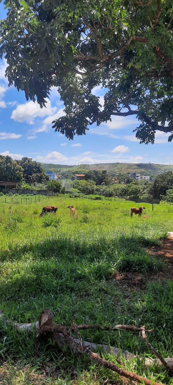 T- 17 TERRENO CONFINS MG