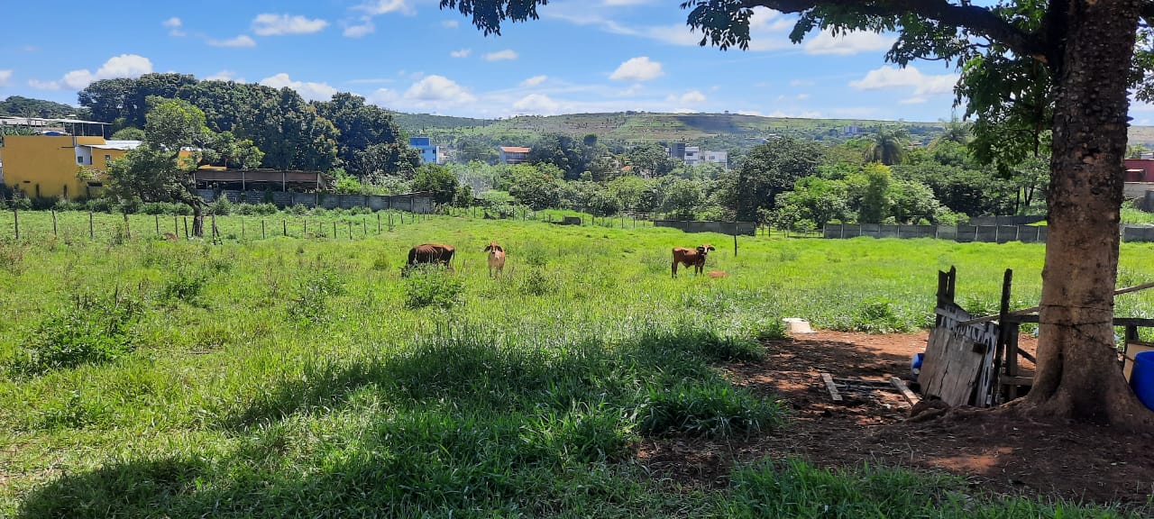 T- 17 TERRENO CONFINS MG